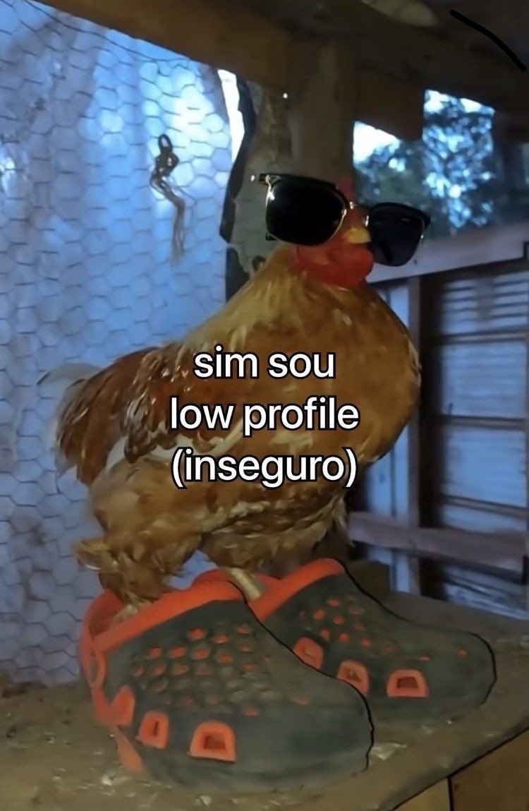 memes_horriveis's tweet photo. https://t.co/tQlJCiFfNX