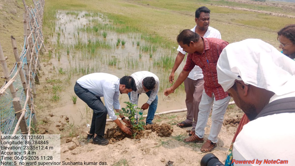 BasudevpurM's tweet photo. On occcasion of "World Environment Day 2026" Basudevpur Municipality has organised Mass plantation programme  in presence of Chairperson Madam,VC EO, Councillors,Staff, Senior citizens,Media personnels and loacal person . https://t.co/Ptxayz7RLm