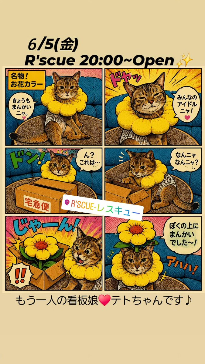 rinooooo27's tweet photo. 今夜もよろしくお願いします❤️
待ってるね❤️

R'scue
078-599-8383
https://t.co/UMJcAX4iLB

#神戸三宮バー
#神戸ミックスバー
#三宮レスキュー 
#神戸ミックスバーレスキュー 
#womanonlyparty
#神戸イベントTVANTENA 
#神戸ビアンバー
#LGBTQ https://t.co/P1Q8zuZIQn