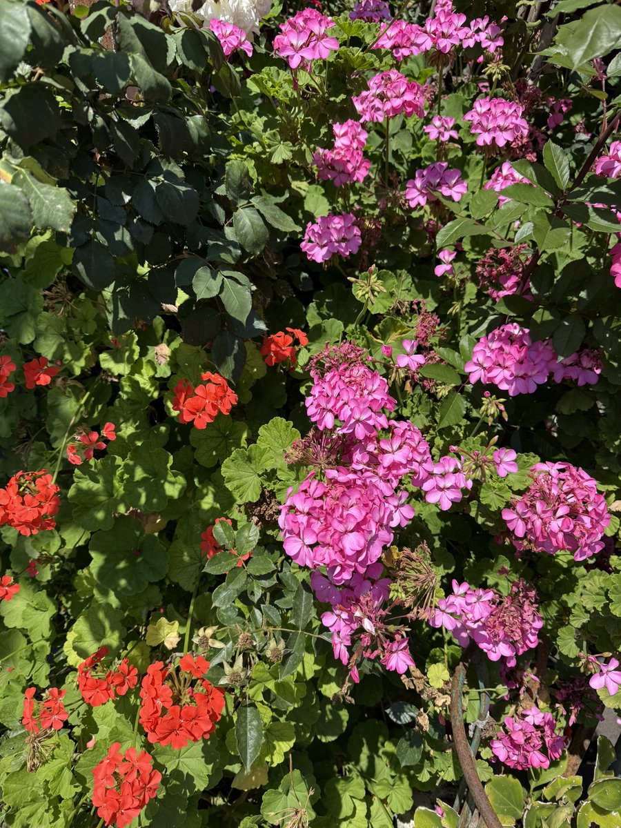 ili8li's tweet photo. https://t.co/4zRsUZiNXf