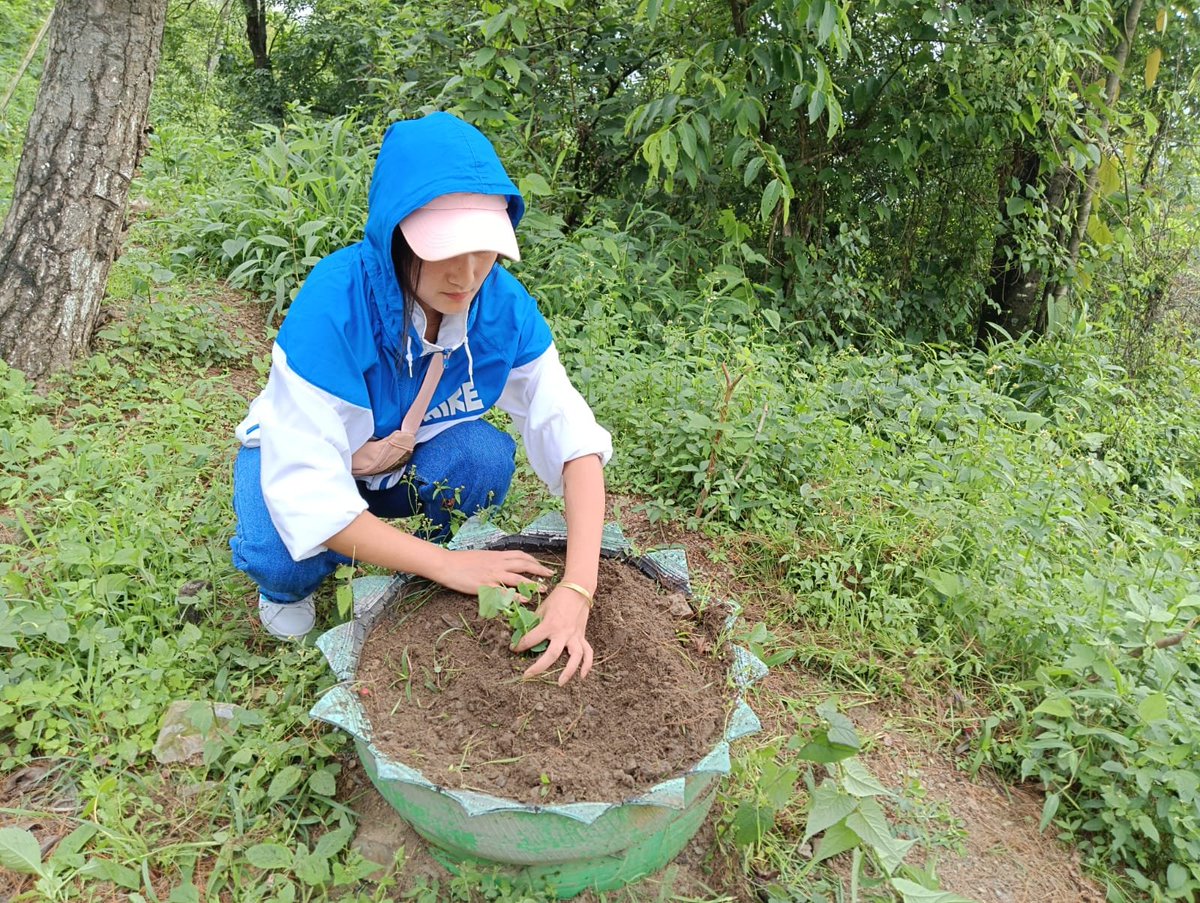 keviphonuo's tweet photo. "Inspired by Nature . For climate, for our Future"
#"ek ped maa ke Naam"
# World Environment Day 2026
@YepthomiBen @BJP4Nagaland @NitinNabin @blsanthosh @anilkantony @YanthungoPatton @abhaygiribjp @BjpKohima https://t.co/d0cZCNNmYs