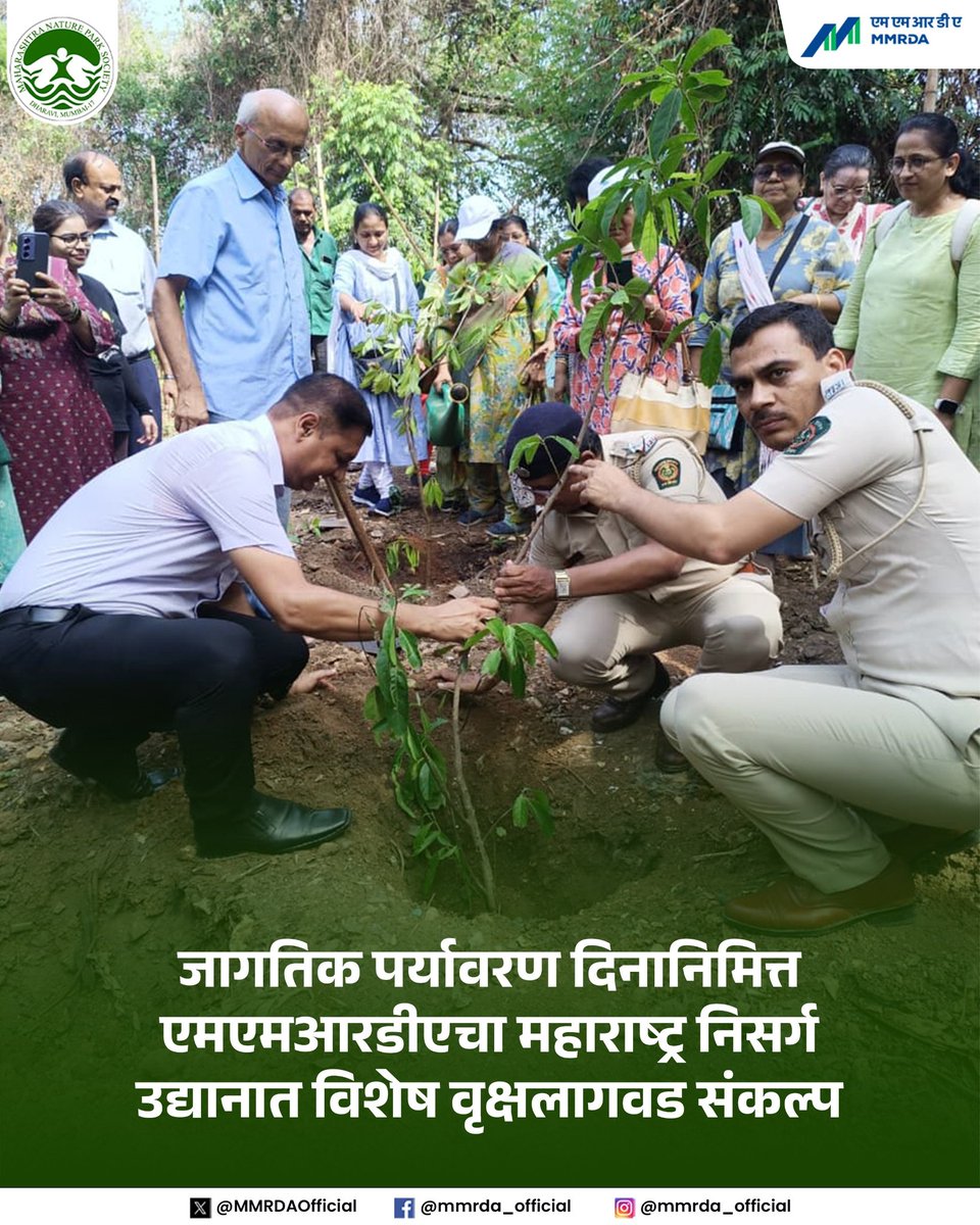 MMRDAOfficial's tweet photo. 🌱 हरित आणि स्वच्छ भविष्यासाठी एक सामूहिक पाऊल!

जागतिक पर्यावरण दिनाचे औचित्य साधून, शाश्वत भविष्यासाठीची आपली बांधिलकी अधिक दृढ करण्यासाठी मुंबई महानगर प्रदेश विकास प्राधिकरणाच्या वतीने 'महाराष्ट्र निसर्ग उद्यान' येथे विशेष वृक्षलागवड कार्यक्रमाचे आयोजन करण्यात आले.

"एक वृक्ष म्हणजे भविष्यासाठी दिलेली हिरवी भेट" हा संदेश देत उद्यान परिसरात ८५ देशी वृक्षांची लागवड करण्यात आली. या उपक्रमाचे मुख्य वैशिष्ट्य म्हणजे ज्येष्ठ नागरिकांचा उत्स्फूर्त आणि सक्रिय सहभाग. त्यांच्या उपस्थितीमुळे या उपक्रमाला अधिक अर्थपूर्ण स्वरूप प्राप्त झाले.

या मोहिमेत करंज, शिवण, ताम्हण, कांचन, सीता अशोक, उंबर आणि पिंपळ यांसारख्या विविध देशी प्रजातींच्या रोपांची लागवड करण्यात आली. ही झाडे स्थानिक जैवविविधतेला बळकटी देण्याबरोबरच पक्षी, फुलपाखरे आणि इतर जीवसृष्टीसाठी पोषक अधिवास निर्माण करण्यास मदत करतात.

हा उपक्रम केवळ वृक्षलागवडीपुरता मर्यादित नसून पर्यावरण संवर्धनासाठी नागरिकांना एकत्र आणणारा सामूहिक संकल्प आहे. आपल्या परिसरात अधिकाधिक देशी वृक्ष लावून त्यांचे जतन व संवर्धन करण्यासाठी प्रत्येकाने पुढाकार घ्यावा, असे एमएमआरडीएचे आवाहन आहे.

🌳 चला, एकत्र येऊया आणि अधिक हिरवीगार, स्वच्छ आणि शाश्वत मुंबई घडवूया!

#WorldEnvironmentDay #MMRDA 
#MaharashtraNisargDay #MahimNaturePark #जागतिक_पर्यावरण_दिन #SustainableDevelopment #ReimaginingMMR #RebootingMumbai
#ReshapingMMR 

@CMOMaharashtra @Dev_Fadnavis @mieknathshinde 
@DrSanMukherjee @moefcc 
@MahaDGIPR @majhivasundhara 

(1/2)