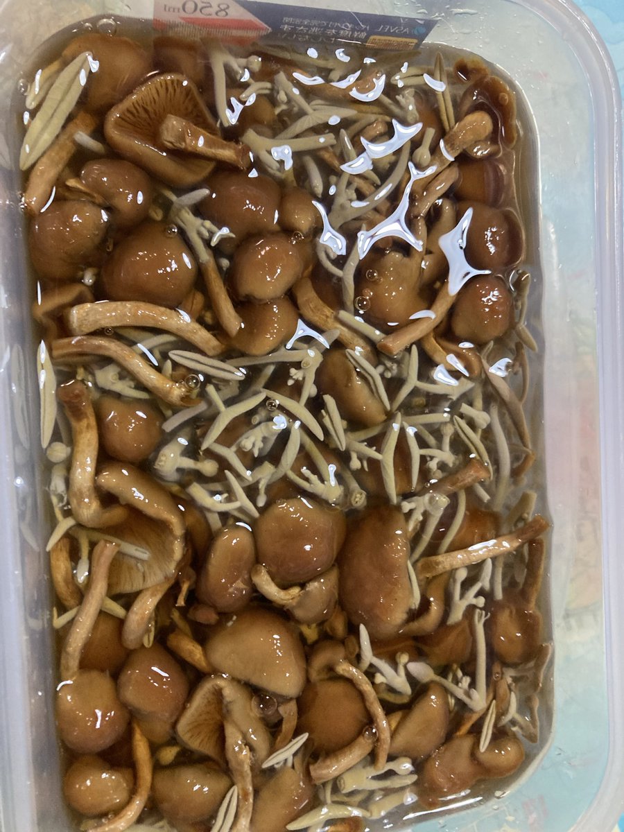 71247124b's tweet photo. そろそろ賞味期限が近づいて来たので、数年前に秋田の土産のじゅんさいと、ナメコで酢の物 https://t.co/JEuZ042ZE2