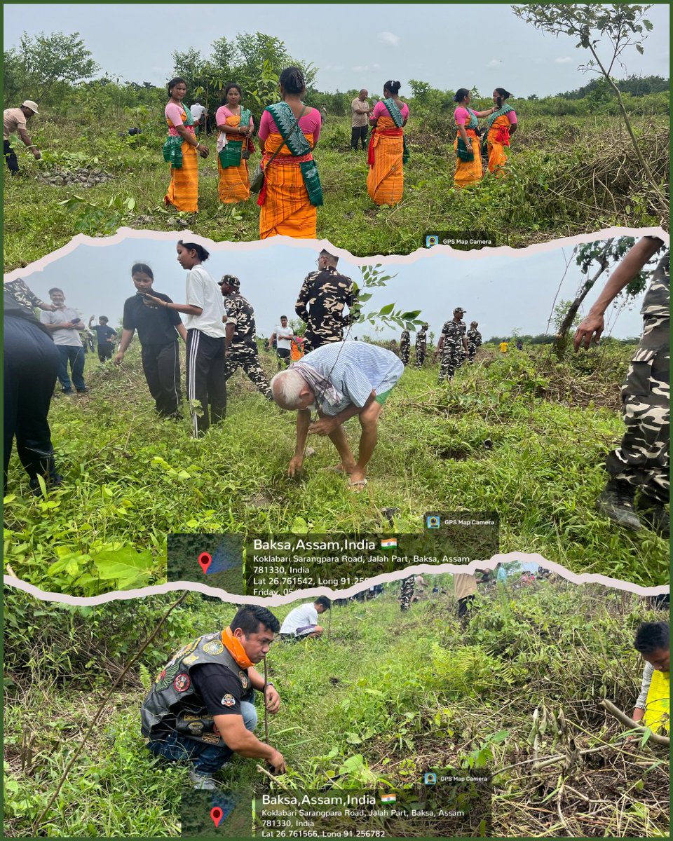 sgp_op7_india's tweet photo. Under SGP, @ManasMmes  organised a mega plantation drive in collaboration with Simla Police, 27th SSB Battalion, Assam Forest Department, All Bodoland Riders Association, Chepnapara FRC, NCC &amp; CKAC/ABSU.
A tribute to the timeless legacy of Zubeen da, rooted in the soil of Assam. https://t.co/pkkrVmO266
