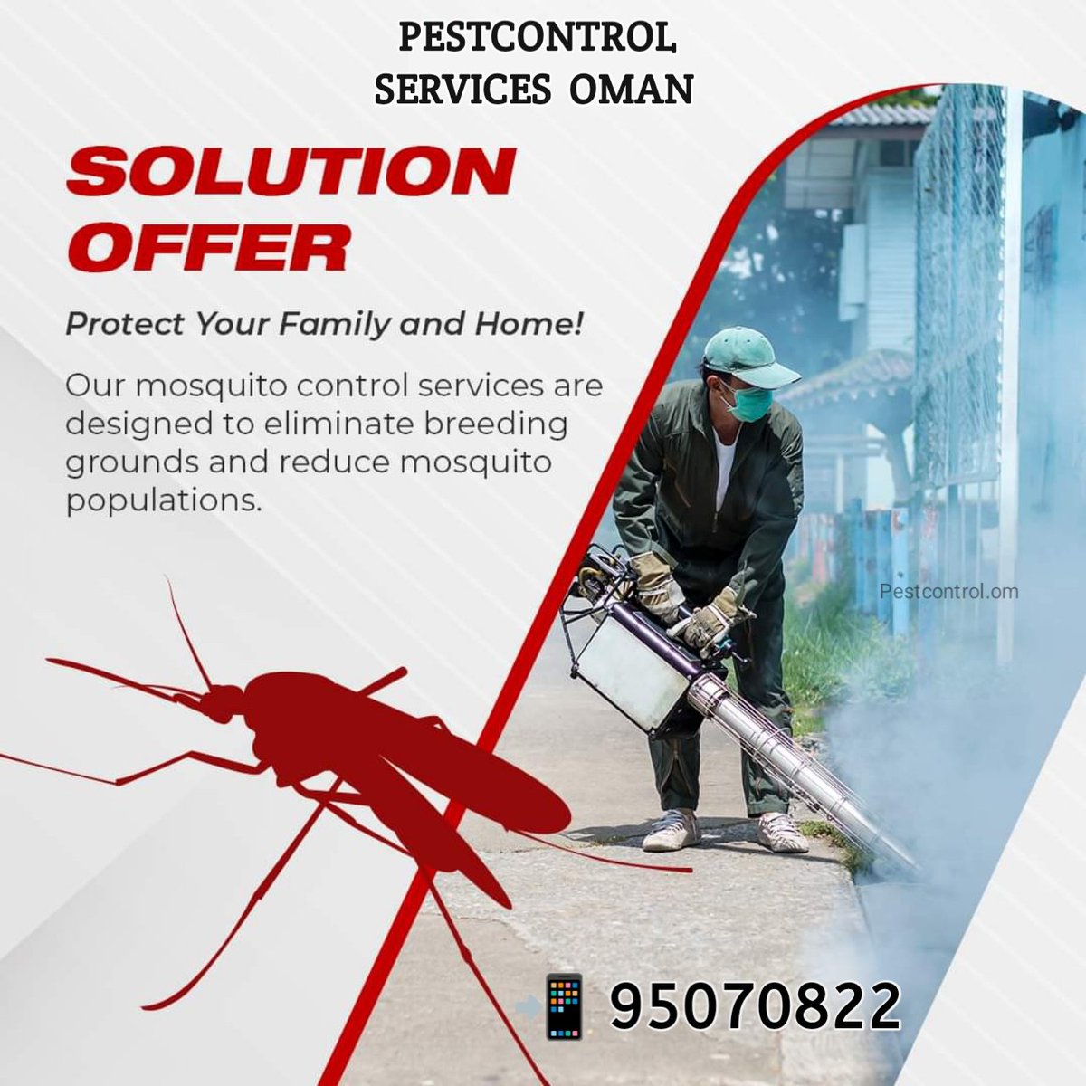 MuscatPest's tweet photo. Call Us 95070822
Are you face any pest issues call us we are 24/7 customer assistance and free inspection and estimation, best quality and reasonable prices we are offer with guarantee service.
#oman #muscat #pestcontrol #pestexterminator #pestcontrolprofessionals #seeb https://t.co/uhhfBhJC5h