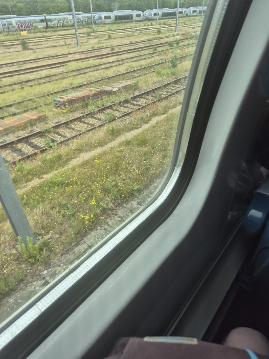 NightInWind's tweet photo. Belgium here i come https://t.co/9FSfMXqMJm