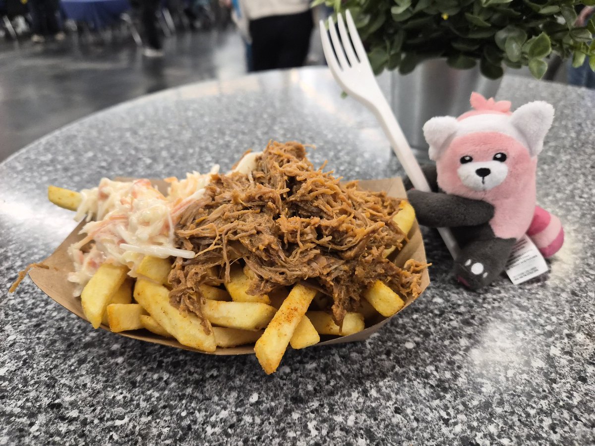 PokemonStufful's tweet photo. @Bewear888 Dortmund! 🇩🇪🧸

飛行時間はそれほど長くなかった。休暇でぜひ訪れてみたいですね！🏖

私は仕事で来ています。💼 今はちょうど昼休み中です。ターキーとコールスローを添えたフライドポテトを食べています。🍴 https://t.co/i3FrfiRAwm