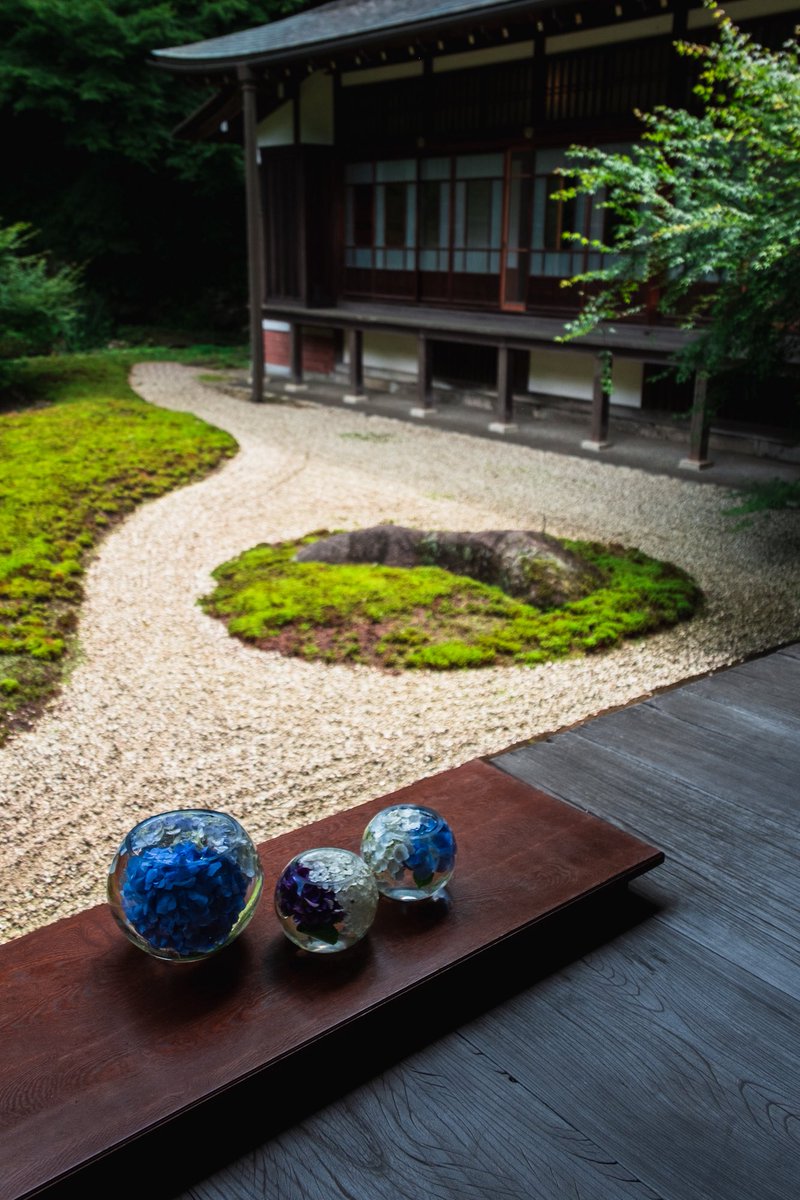 szuuxlo's tweet photo. 紫陽花ボールと日本庭園💠 https://t.co/AoKhzV56Dd