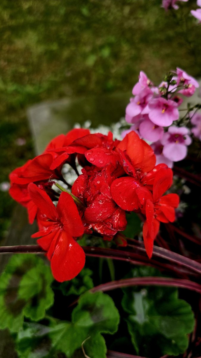 AdeelED's tweet photo. About a summer thursday https://t.co/QoVuTkKK5Q