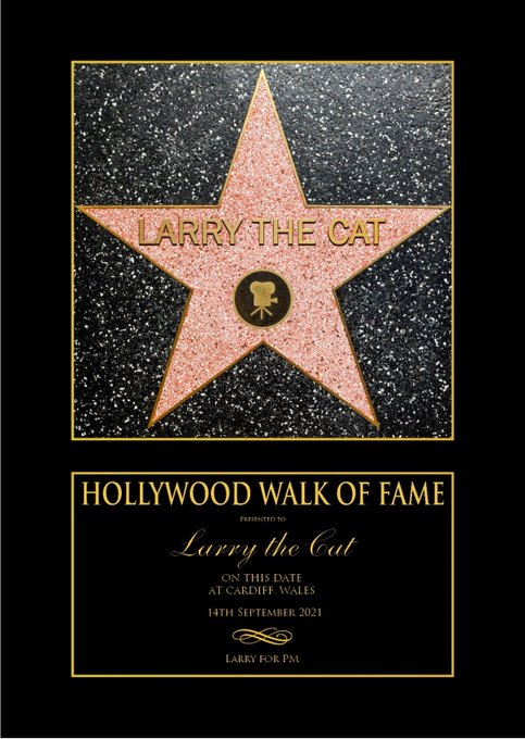 ElizabethRadcl5's tweet photo. Larry the Cat Hollywood Star lets make this happen xxx #number10cat #kittytwitter https://t.co/61ekcFzidO
