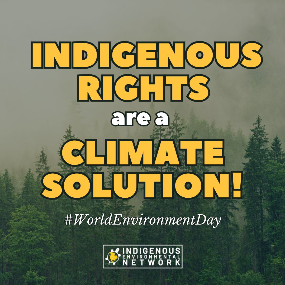 IENearth's tweet photo. We have cared for this land since time immemorial. Our knowledge, our sovereignty, and our leadership are the climate solution the world needs.

Protecting our rights protects Mother Earth and on this #WorldEnvironmentDay, we call on the world to stand with us.  

#LandBack #DefendTheSacred