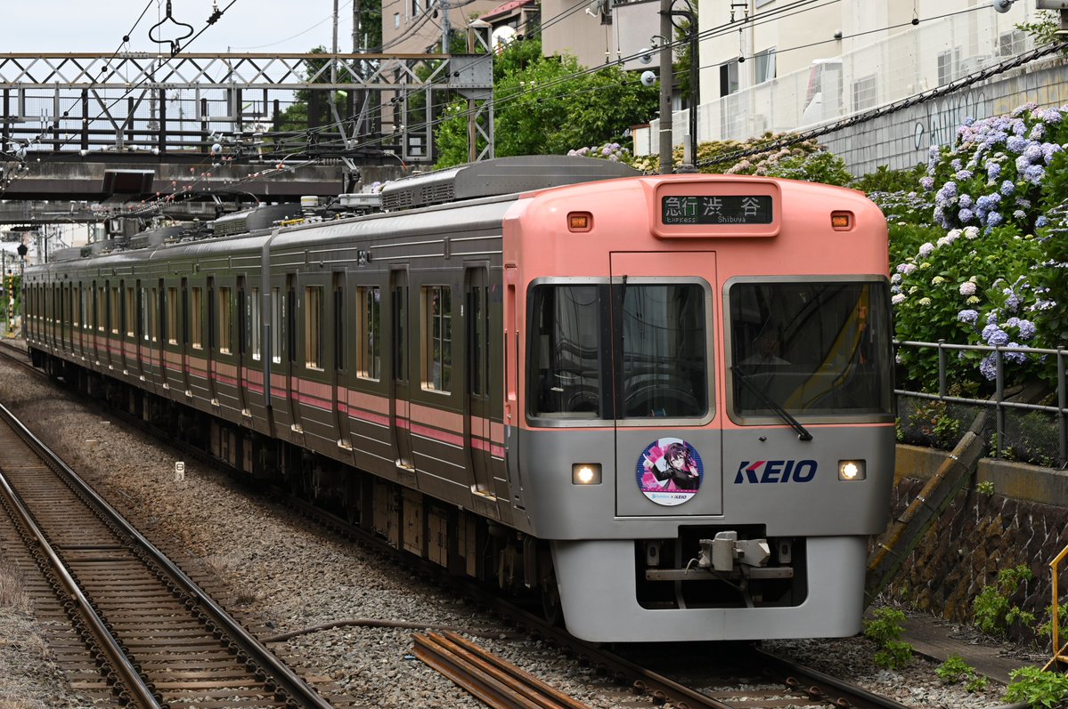 ai_fftcg's tweet photo. ヘッドマーク付き車両をGuess!!
久しぶりに望遠レンズ担いできた
#AZKi100万人記念
#あずきち見て https://t.co/diyvgGSqTY