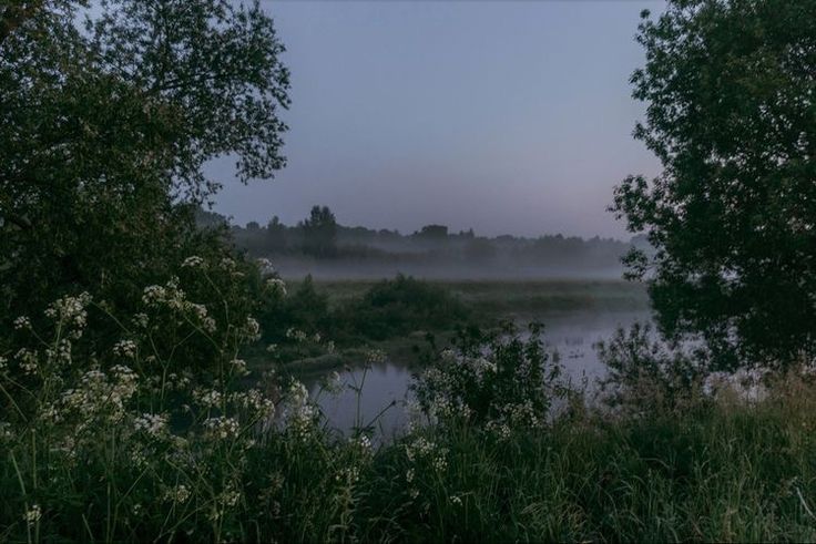 elemmiressoul's tweet photo. so peaceful. https://t.co/zZeYhyYWG9