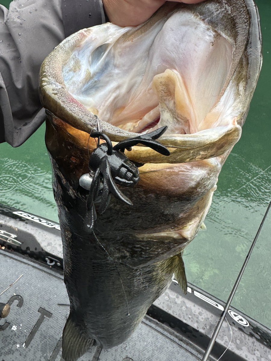 JACKALL BASS FISHING (@JACKALL_Inc) / Posts / X