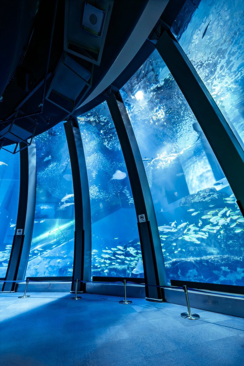 kiki_aquamarine's tweet photo. 静寂なる生命の流れ https://t.co/tZR3tre6CA