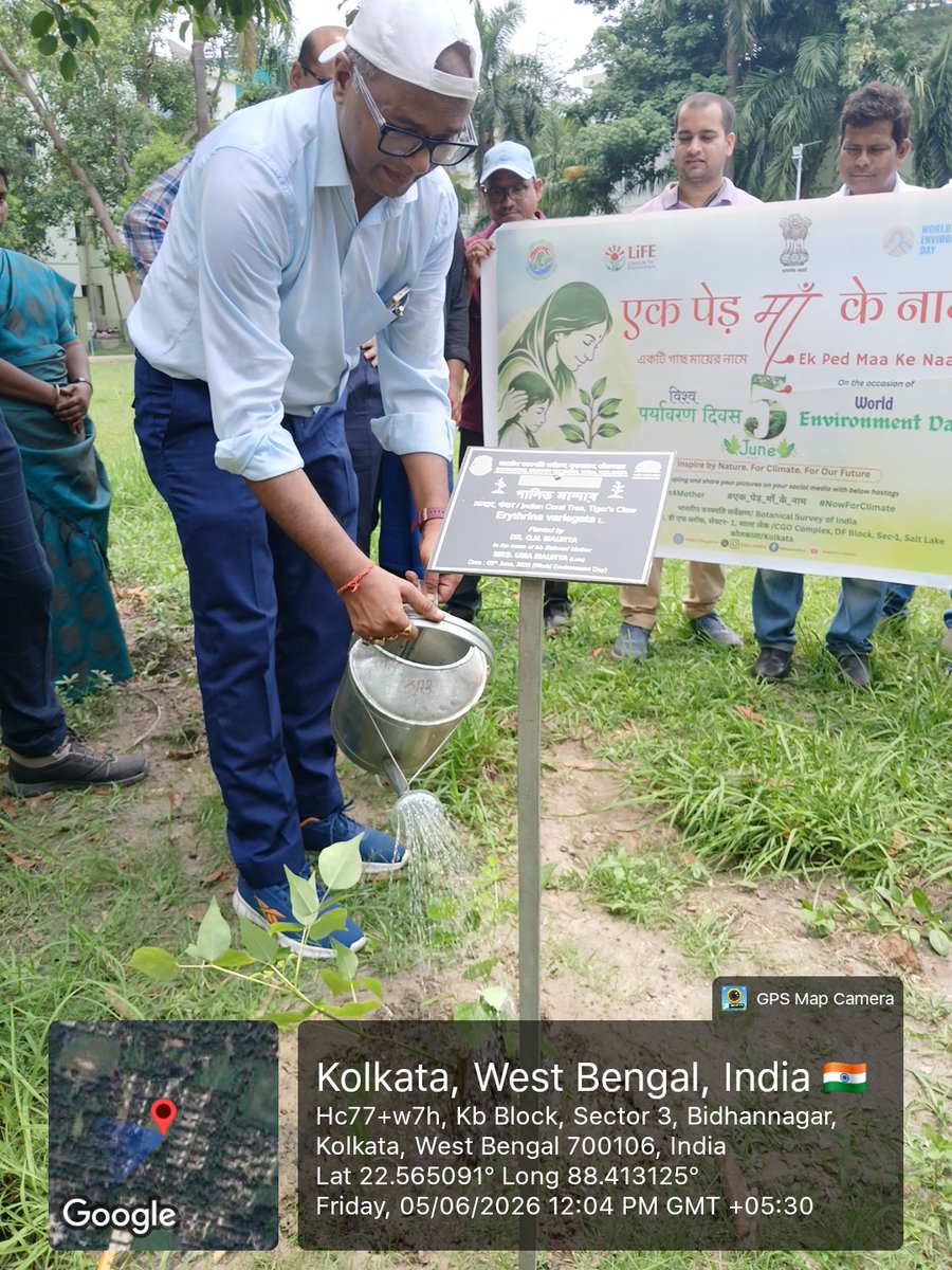 bsi_moefcc's tweet photo. World Environment Day 2026, with the official theme “Inspired by Nature. For Climate. For Our Future.”, was celebrated by the Botanical Survey of India (BSI), Headquarters, under the guidance of the Dr. Kanad Das, Hon’ble Director, Botanical Survey of India. The programme was organized at the Central Government Staff Residential Complex, KB Block, Salt Lake City, Kolkata in collaboration with the residents of the colony.
The event commenced with the phrase “Prakriti Rakshati Rakshitah”, emphasizing the importance of protecting nature for the well-being of humanity. In his inaugural address, the Director, Botanical Survey of India, highlighted the vital role of plants in maintaining ecological balance and safeguarding the environment. He elaborated on how plants contribute to environmental protection and human welfare. The Director also stressed the importance of water conservation and drew connections with traditional knowledge and practices from the past.
Following the inaugural speech, a plantation programme was conducted with theme ”Ek Ped Maa Ke Naam” in the colony park. A total of 27 saplings belonging to various plant families were planted. These included species of medicinal, fruit-bearing, timber, and avenue value, along with several endemic plants.
A notable highlight of the event was the planting of Bentinckia nicobarica, an endemic palm species native to the Nicobar Islands, by the Director himself. This symbolic plantation underscored the importance of conserving India’s unique and endemic plant diversity.
Senior Scientists Dr. J. Jyanthi, (Scientist ‘F’), Dr. S.S. Dash (Scientist ‘F’), Dr. O.N. Maurya (Scientist ‘E’), and Dr. Kumar Avinash Bharti (Scientist ‘E’) planted saplings in the name of their mothers. Other officers, including Dr. C.P. Vivek (Scientist ‘C’), Dr. Gopal Krishna (Scientist ‘C’), Dr. Sudhir Kumar Yadav (Scientist ‘B’), Sri Ranajit Kumar Roy (SAO), Sri Vikas Kumar (FO), and Sri Indrashis Banerjee (JAO), also planted saplings in the name of their mothers.
The event was witnessed by around 110 staff members and officers from the Headquarters, along with local residents. The programme was hosted by Sri Kailash Kushwaha,J.T.O.,BSI,HQ.
The programme witnessed enthusiastic participation from residents and staff members, reflecting a shared commitment towards environmental conservation and sustainable living.

#EkPedMaaKeNaam