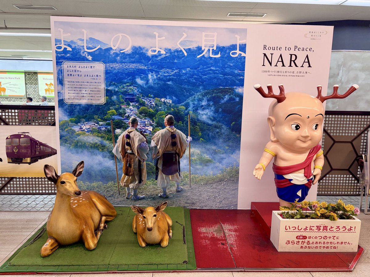 tompopcha's tweet photo. 何年ぶり？
奈良🦌へ https://t.co/TfgkvErFbm