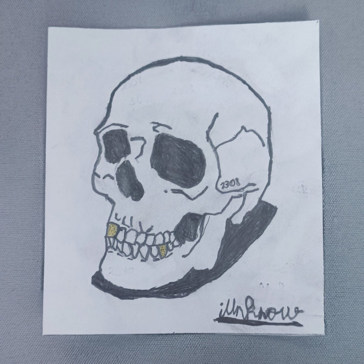 That_iUnknow's tweet photo. Skull 💀 https://t.co/LxsyEIS2la
