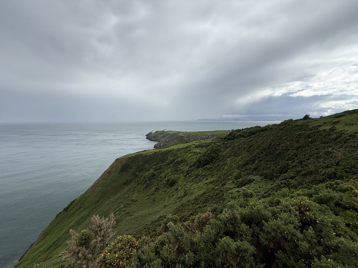 bermuda419s's tweet photo. Great day on the #Howthcliffwalk  #Ireland https://t.co/lV4gyDAc8k