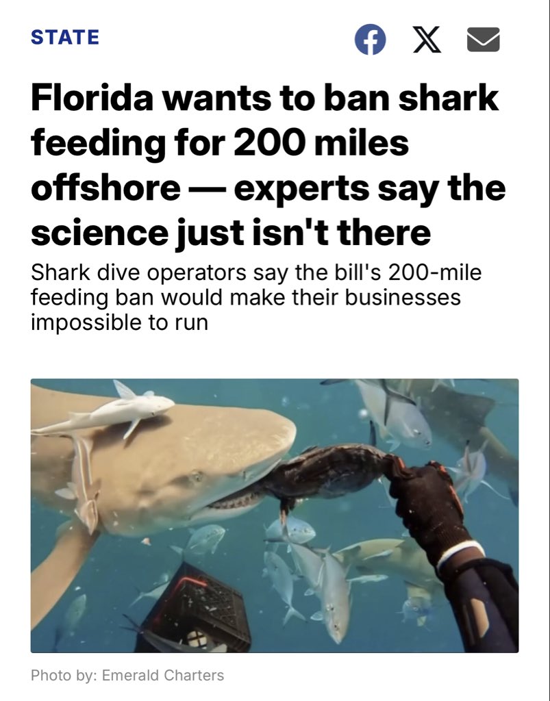 BlacktipH's tweet photo. The number of shark diving / feeding operators have exploded in the past 10 years just between Palm Beach and Jupiter Inlet. This practice has dramatically altered the natural behavior and migratory patterns of sharks. Just like pelicans gathering around a fish cleaning table, when a reliable food source is consistently available, there’s little reason for them to leave. 

10-15 years ago, you had to aggressively chum to get a few sharks around the boat. Now they just show up when you stop the boat. They’ve unfortunately learned that boats are a food source. The explosion in shark numbers and has had a profound impact on the fishery. Anglers are unintentionally harvesting well beyond their harvest limits on both hooked and released fish (out of season and undersized). This is completely undermining conservation efforts.