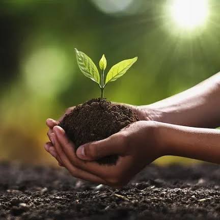 prosperity2022's tweet photo. On World Environment Day, Ethiopia is leading by example! From hitting 48 billion+ trees planted via the Green Legacy Initiative to a total ban on single-use plastics and a massive push for electric vehicles, Ethiopia is turning climate action into a way of life. https://t.co/dLOjKFhZaF