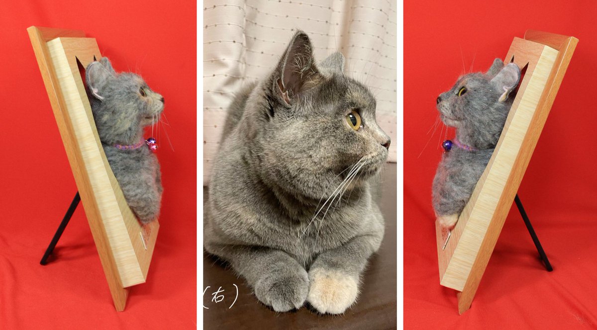 egaokoubou's tweet photo. きりぃちゃんの「我が家の猫様」の製作をさせて頂きました、ありがとうございました🥰 https://t.co/OcnOuLNHI5