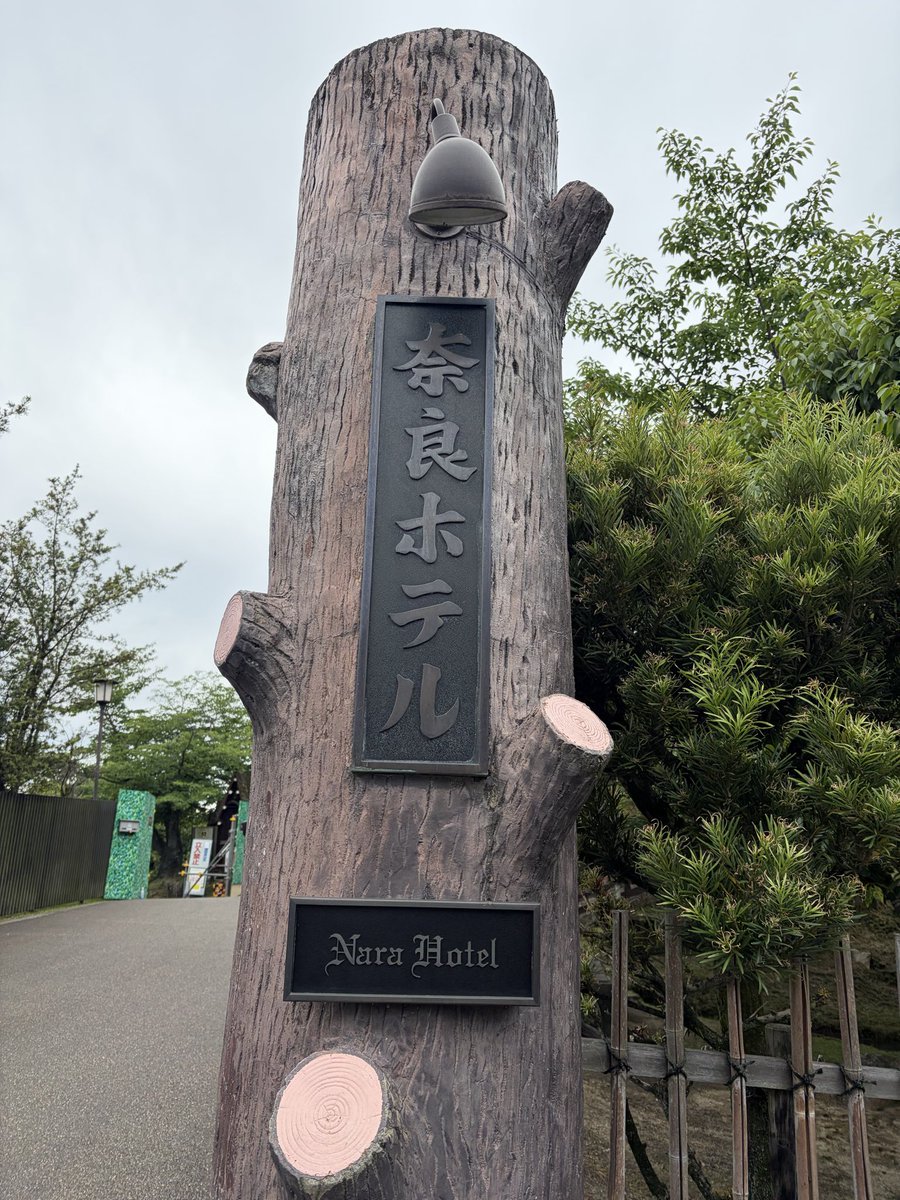 tompopcha's tweet photo. いつかは
泊まってみたい
奈良ホテル
素敵✨
いろいろリニュアル工事中でした
なんと本館営業再開したの昨日からだと後で知ってびっくり‼️ https://t.co/FtBKhhGtGm