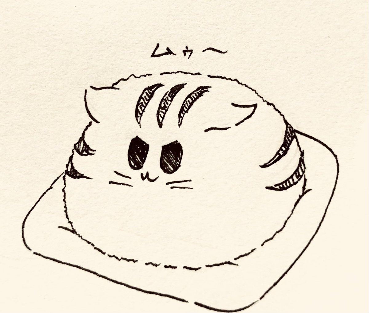 もちもちイカ耳状態🐯 