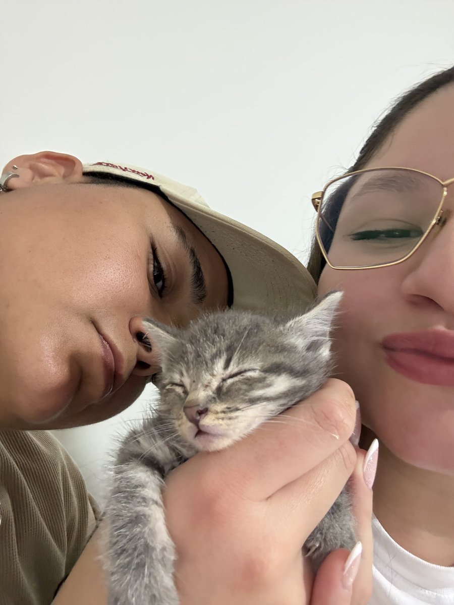 1Pineiro's tweet photo. 🥹😍🐱 https://t.co/PFoASGEwB9