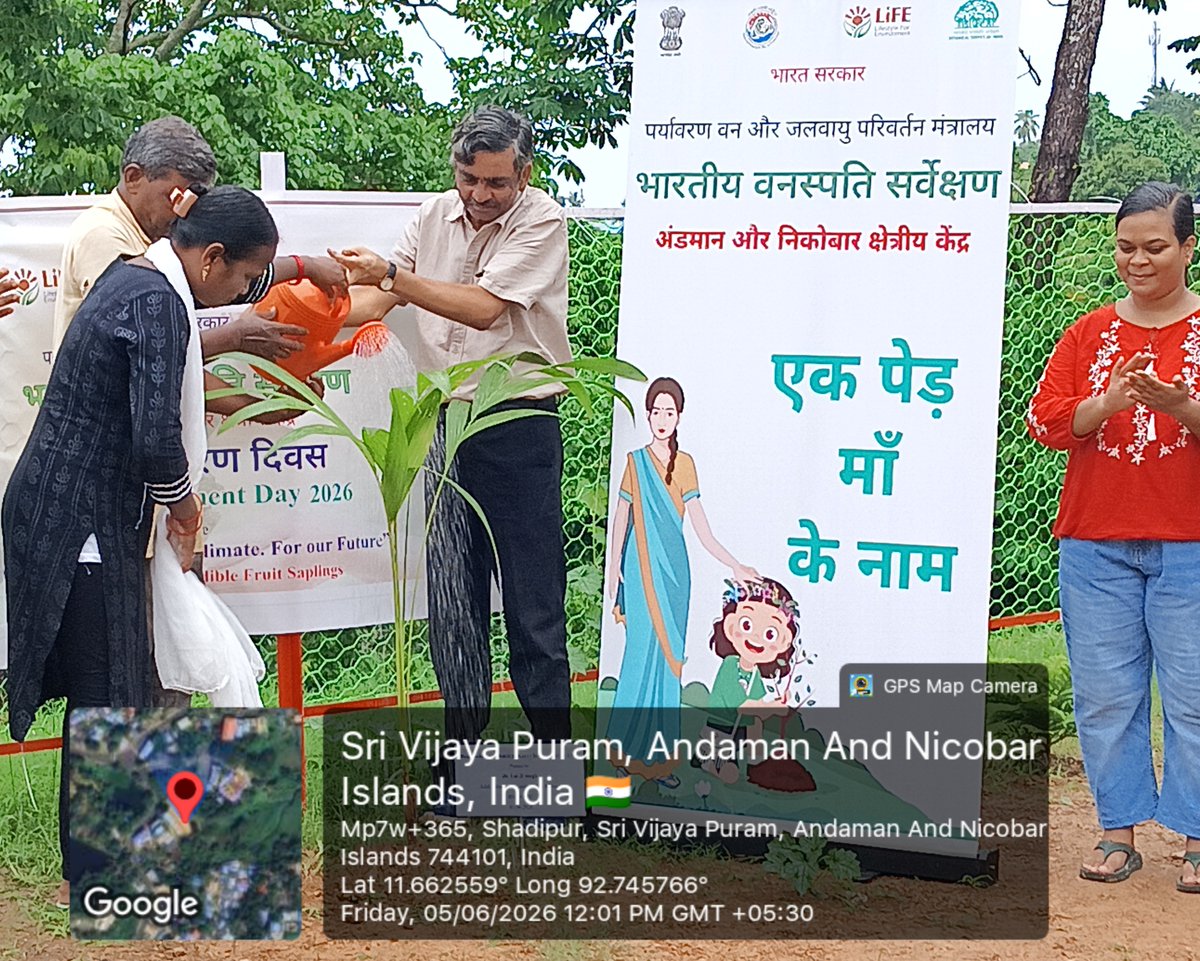 BSI_ANRC's tweet photo. Mass tree plantation on the occasion of WORLD ENVIRONMENT DAY 2026 by BSI ANRC at Vanvasi Kalyan Ashram  program begins with plantation by Regional Head Dr Lal Ji Singh.  Members of Ashram along with officials of BSI planted saplings of Nicobaree palm and fruiting tree species. https://t.co/tux6bNWrYH