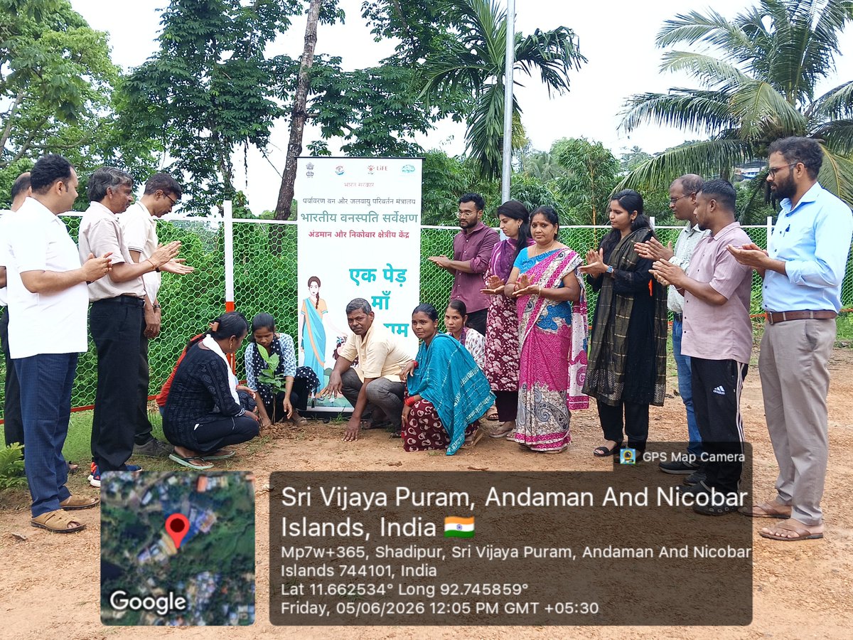 BSI_ANRC's tweet photo. Mass tree plantation on the occasion of WORLD ENVIRONMENT DAY 2026 by BSI ANRC at Vanvasi Kalyan Ashram  program begins with plantation by Regional Head Dr Lal Ji Singh.  Members of Ashram along with officials of BSI planted saplings of Nicobaree palm and fruiting tree species. https://t.co/tux6bNWrYH
