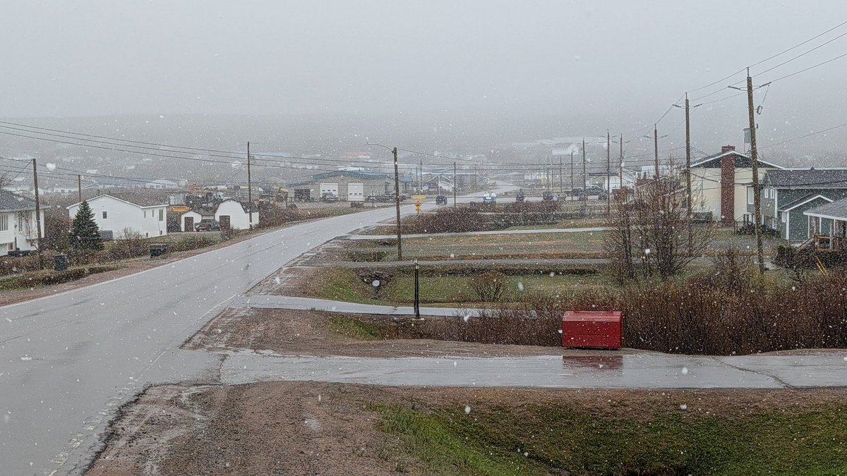rcbstormpost's tweet photo. Happy June 5th!

Fresh snow coating the ground on the higher terrain along the Labrador Straits. Pics taken moments ago on the Battery, 3 km east of L'Anse au Loup (200 m elevation).

Also wet snow at low elevations, but not accumulating. #nlwx https://t.co/WBfLUbpLd4