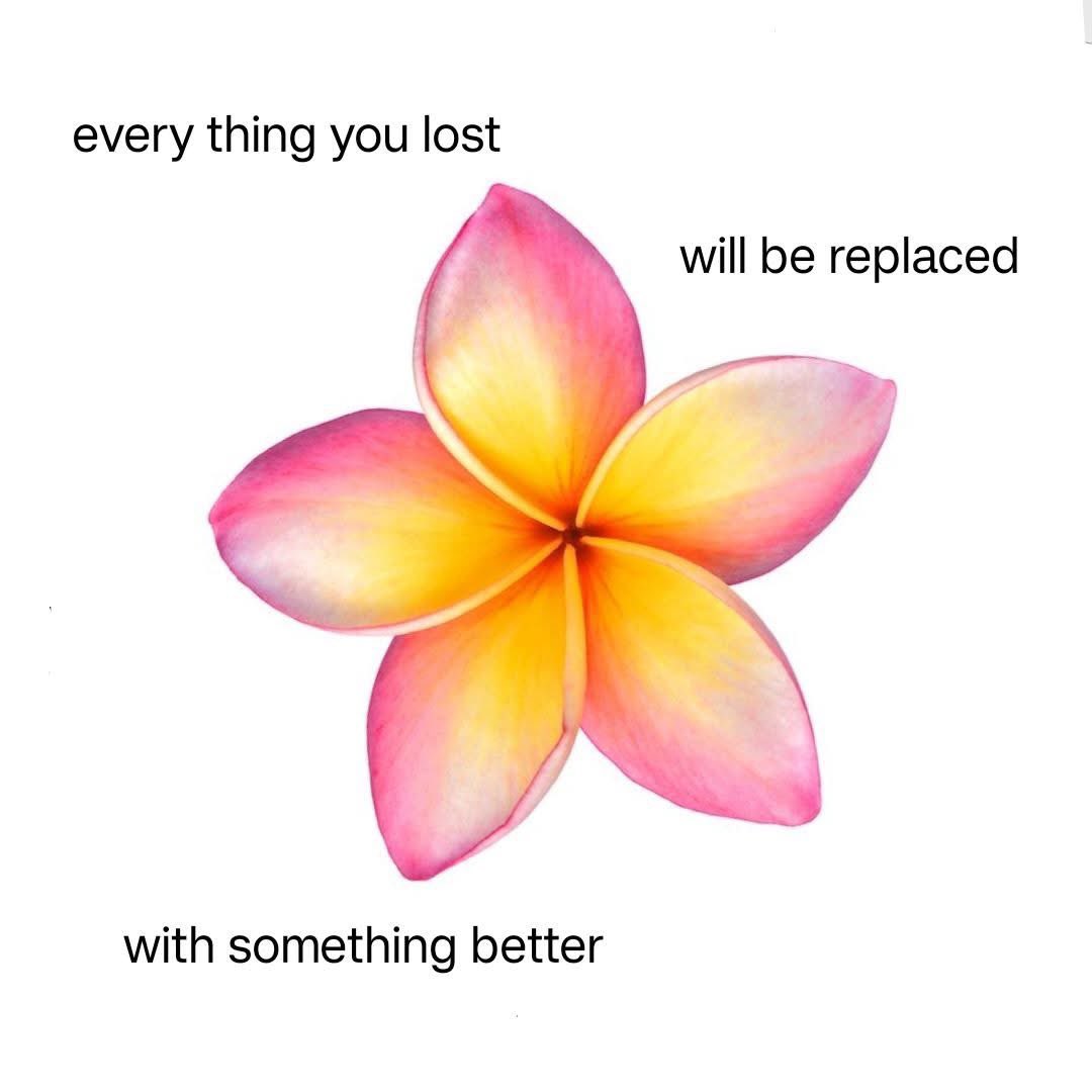 against798's tweet photo. Manifesting 🌸 https://t.co/mYlGGwxRsd