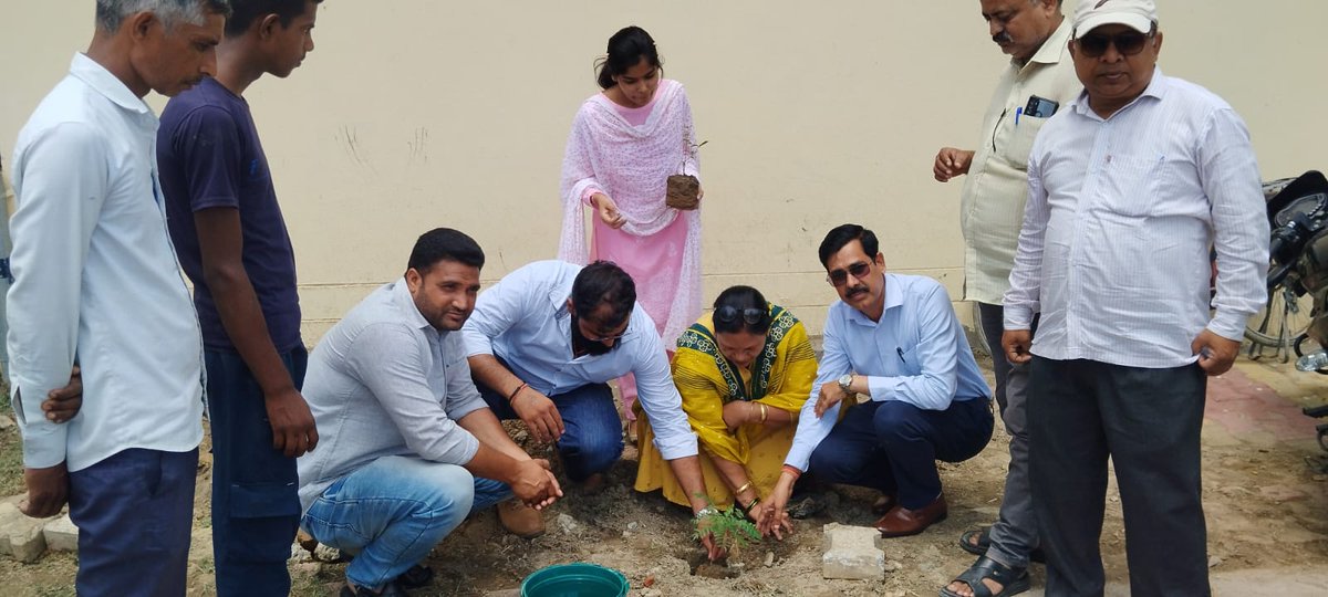 DPROSHAMLIrc's tweet photo. जनपद शामली में 5 जून 2026 को विश्व पर्यावरण दिवस के अवसर पर सभी विकासखंडों में "स्वच्छ गांव, सुरक्षित जलवायु"अभियान के अंतर्गत बृहद स्तर पर पौधारोपण अभियान चलाया |जिसमें ग्राम पंचायत  प्रधानों / सचिवो सहित  ग्राम वासियों ने "एक पेड़ मां के नाम पर" वृक्षारोपण किया। 
@dm_shamli https://t.co/Okkd0WhFN4