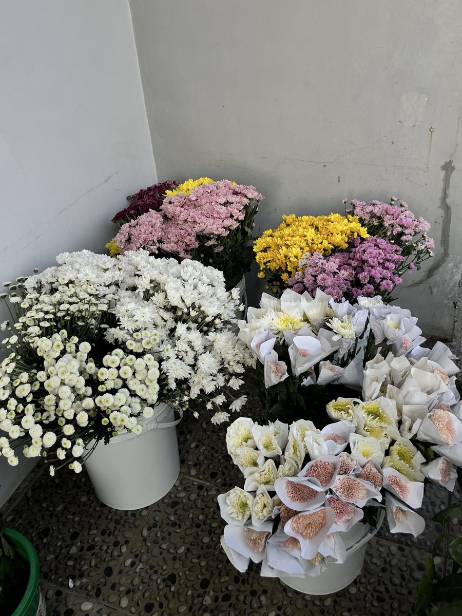 maskembank's tweet photo. Hi warga X!

Aku baru mulai kecil-kecilan supply bunga potong untuk florist, dekorasi, hampers, maupun kebutuhan bouquet 🌷

Ready stock List:
• Gompie Salem — 40k/ikat
• Krisan Standard (Fiji)  Putih — 35k/ikat
• Aster Pink,Merah,Kuning,Putih — 25k/ikat
• Nismara Pink,Merah,Kuning,Putih — 25k/ikat
• Calimero Putih — 25k/ikat

(Per ikat isi 10 tangkai)

📍Dikirim dari Duren Sawit, Jakarta Timur
📦 Pengiriman via ekspedisi yang paling murah

Ketersediaan stok terbatas yaa kak, DM for order yaa. Terima kasih! 🙏