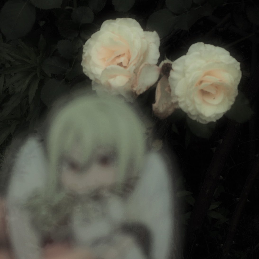 fv_rboc's tweet photo. ✧︎ https://t.co/CkEAOTJaUS