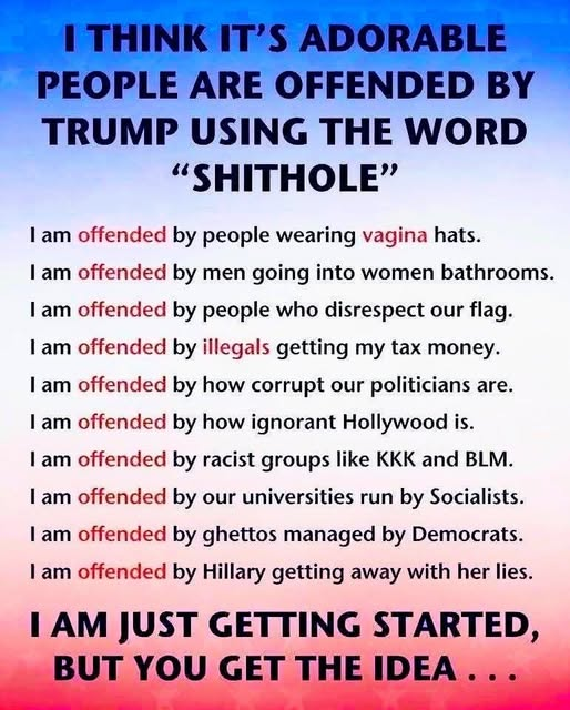 RYboating's tweet photo. I would add-

▶️I'm disgusted that they call abortion 'healthcare'

▶️I'm disgusted that they push kids to mutilate and sterilize themselves

They disgust me more than they offend me. 😉