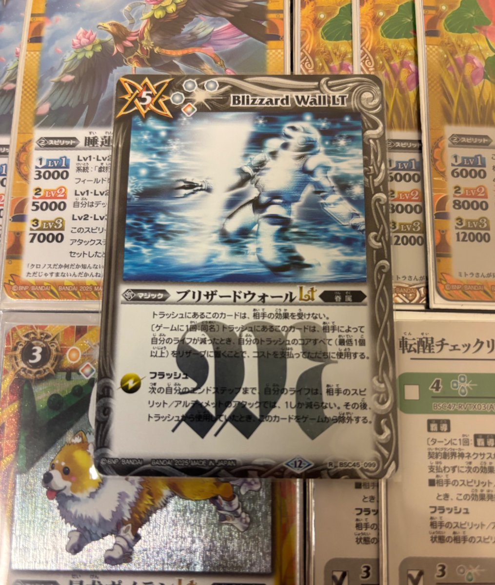このブリザードウォールLT、印刷が左に寄りすぎている気がする