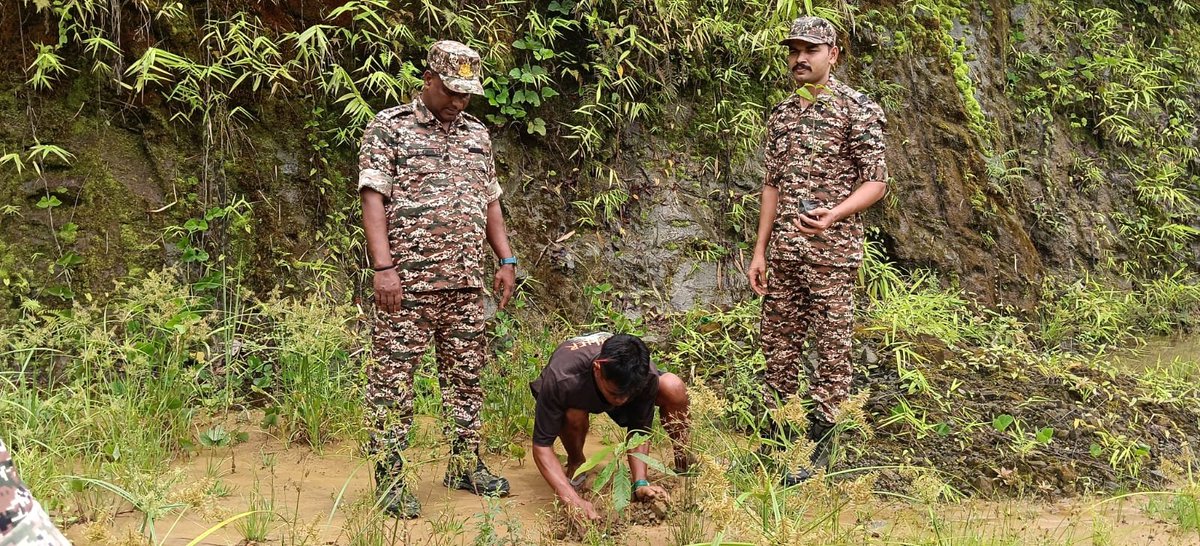 156Bn's tweet photo. A Tree Plantation Drive was successfully organized by 156 Bn CRPF at Jiribam, Manipur. The event witnessed enthusiastic participation from unit personnel and local civilians, reflecting a shared commitment towards environmental conservation and sustainable development. https://t.co/Dtp9HHt6H1