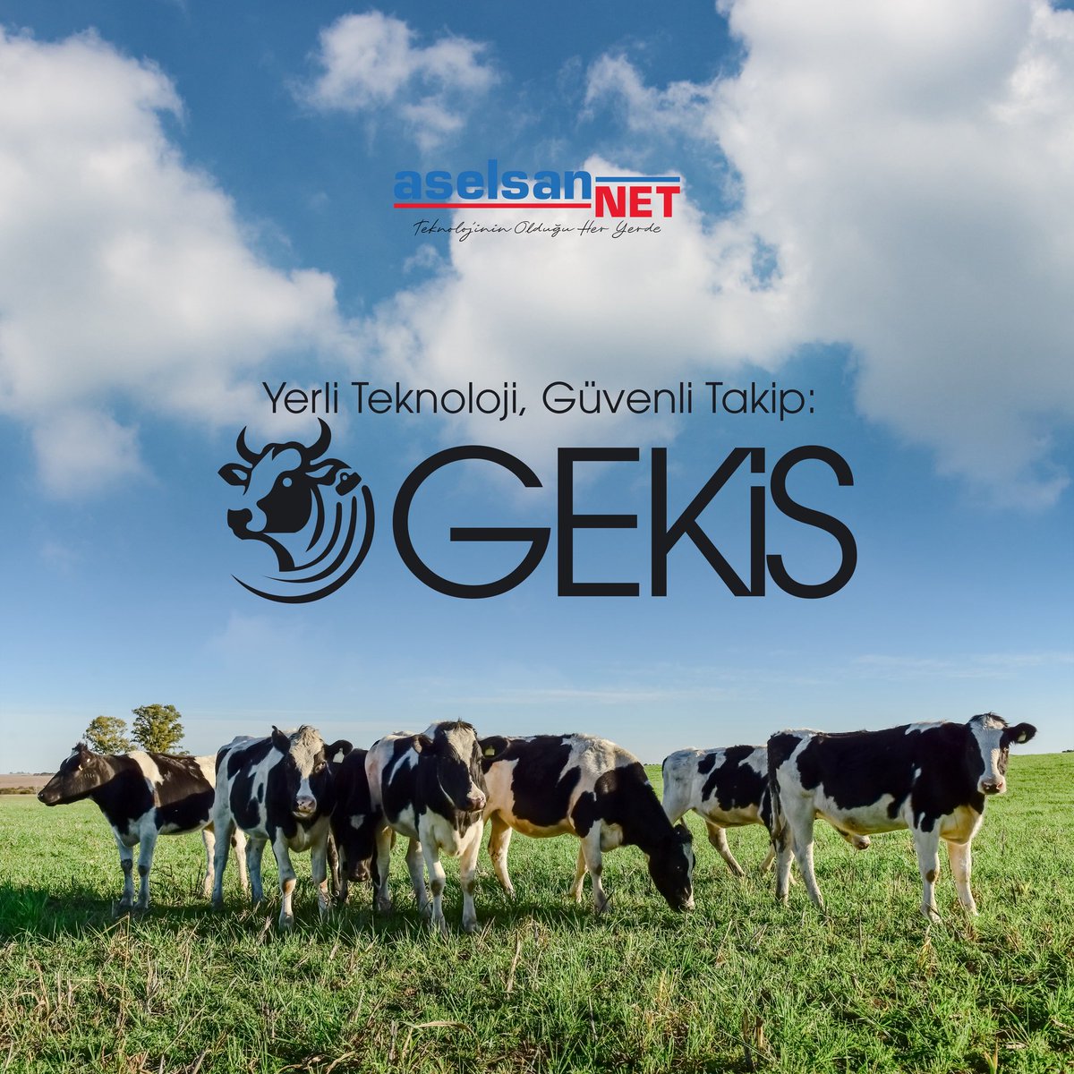 AselsanNET_TR's tweet photo. Güvenli Elektronik Küpe ve İzleme Sistemi GEKİS ile yerli ve yenilikçi teknolojiler geliştirmeye devam ediyoruz.
Hayvan varlıklarının güvenli, izlenebilir ve sürdürülebilir şekilde takip edilmesine katkı sağlayacak projemizle; teknoloji, güvenlik ve verimliliği bir araya getiriyoruz.
#Aselsannet