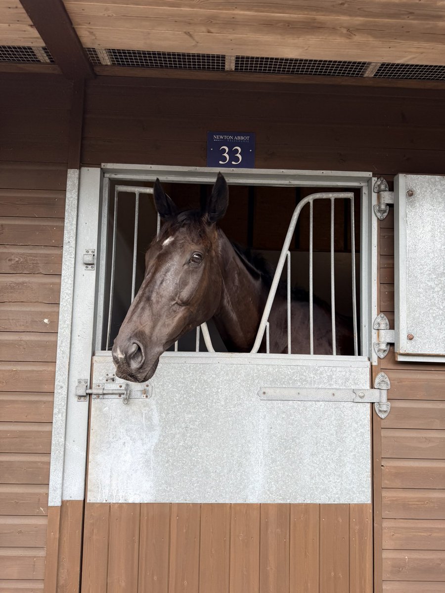 alexdunn_racing's tweet photo. Winning Paddy is a winner!!!!!  #teamdunn https://t.co/BFgqy02Etx