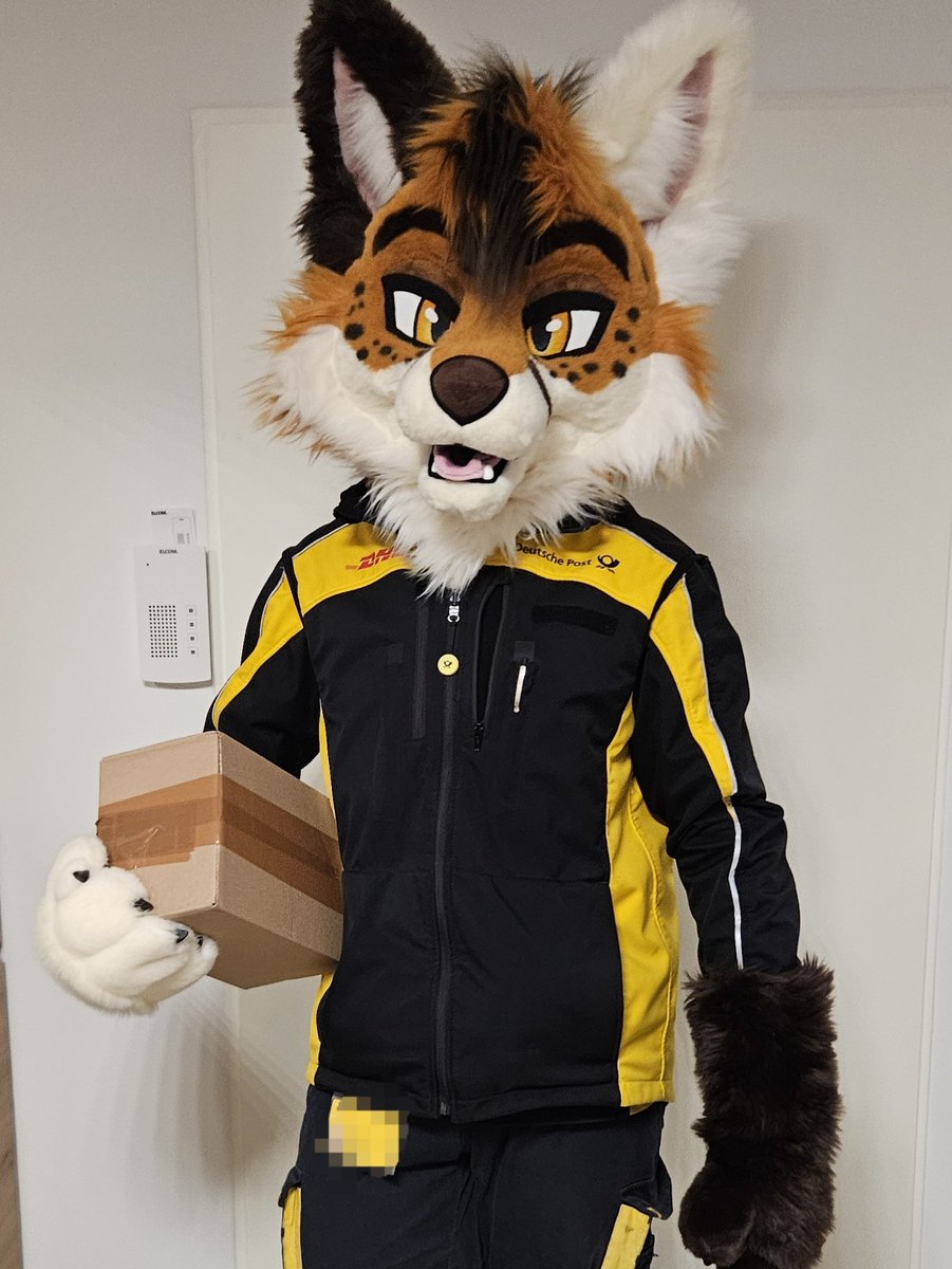 CookieTheFox2's tweet photo. Knock Knock!
Here's your #FursuitFriday delivery

📷 @AuriFusky https://t.co/XGdbE5HgOm
