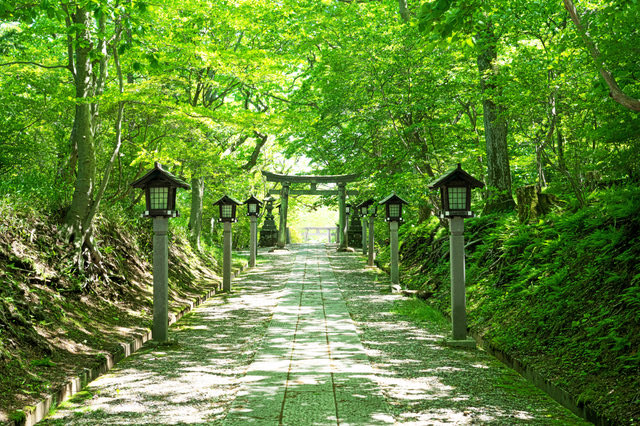 TokyuResortCorp's tweet photo. 【那須】那須温泉神社
 
【Nasu】Nasu Yuzen Shrine

提供：いがぐり / PIXTA(ピクスタ) https://t.co/Gwo8VKtITv