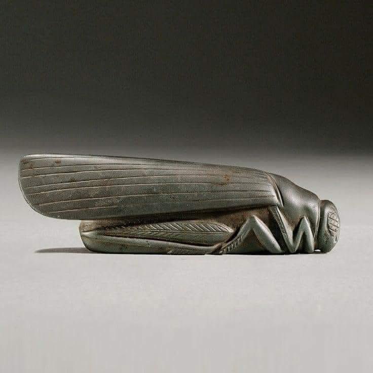 pmamtraveller's tweet photo. A grasshopper, hand-carved with Haematite between 1800 and 1700 BCE in ancient Babylonia https://t.co/monXq6Nx7o