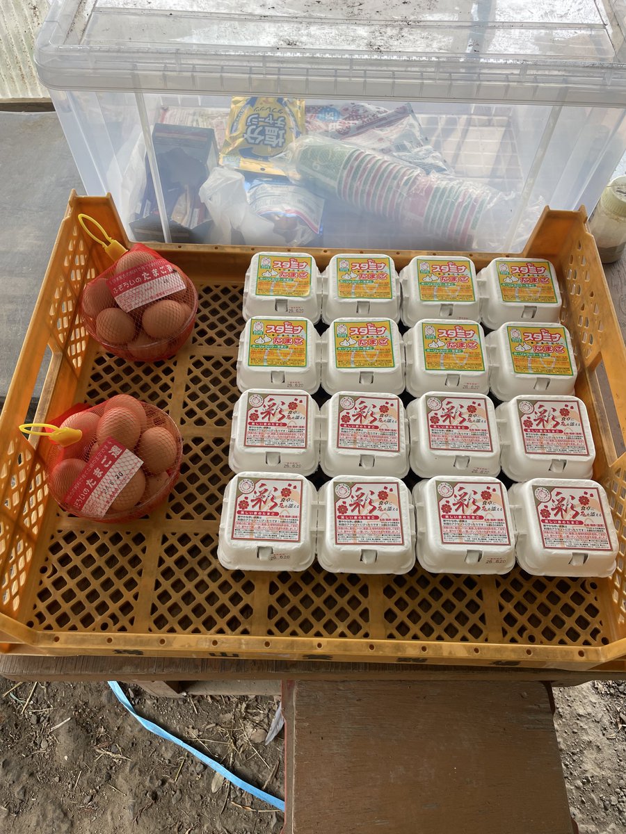 suica_egg's tweet photo. フィッシィングエリアJさん

卵納品しました🥚
水温の低下により魚はかなり元気なようです！
スプーンのみでそこそこ釣れていました！
よろしくお願いします！ https://t.co/tFIsrtHz5R