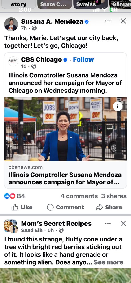 progressIL's tweet photo. That didn’t take long.  Less than 24 hours after announcing for Mayor and Susana has said some racist shit!  Saying things like “let’s get our city back” is the kind of thing MAGA Republicans say on the regular.  We all know what it means. https://t.co/TfczBdBitp