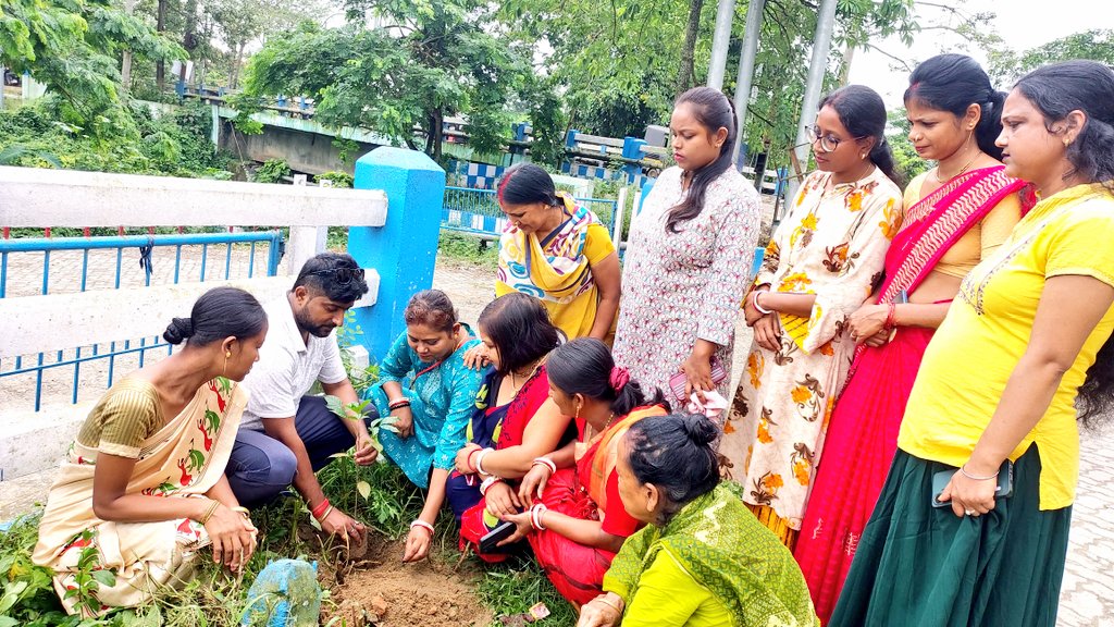 robihindustani's tweet photo. Tree plantation is the most effective way to care for our upcoming generation.
#WorldEnvironmentDay 🌳
#NowForClimate 💚 https://t.co/M8ZxJlDJBa