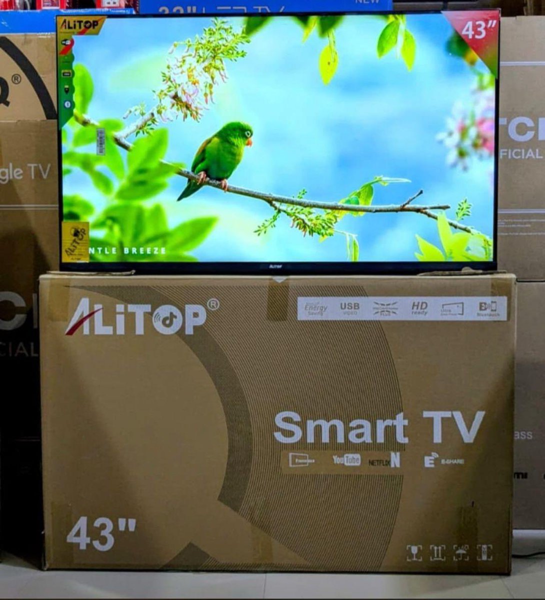 BillyTronix1's tweet photo. Alitop or Solarmax? https://t.co/cqIZe6H64S