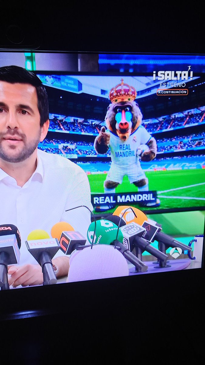 RMadridDatos's tweet photo. Algo de lo que más me cabrea es cuando un atlético se dirige a MÍ EQUIPO como “El Mandril”. He llegado a casi retirar la palabra a más de uno por eso. Que Riquelme quiera un mandril como mascota del club, simplemente es UN INSULTO a todos los madridistas. Socios, sólo vale el voto a @Florentino2026_ . A él nunca se le ocurriría esto.