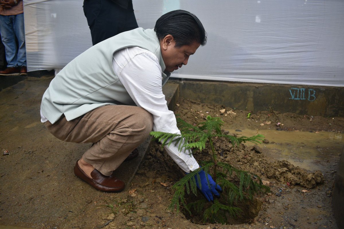 jacob_zhimomi's tweet photo. Also planted an Araucaria sapling in the school premises to commemorate #WorldEnvironmentDay. https://t.co/MPFccRdFXZ